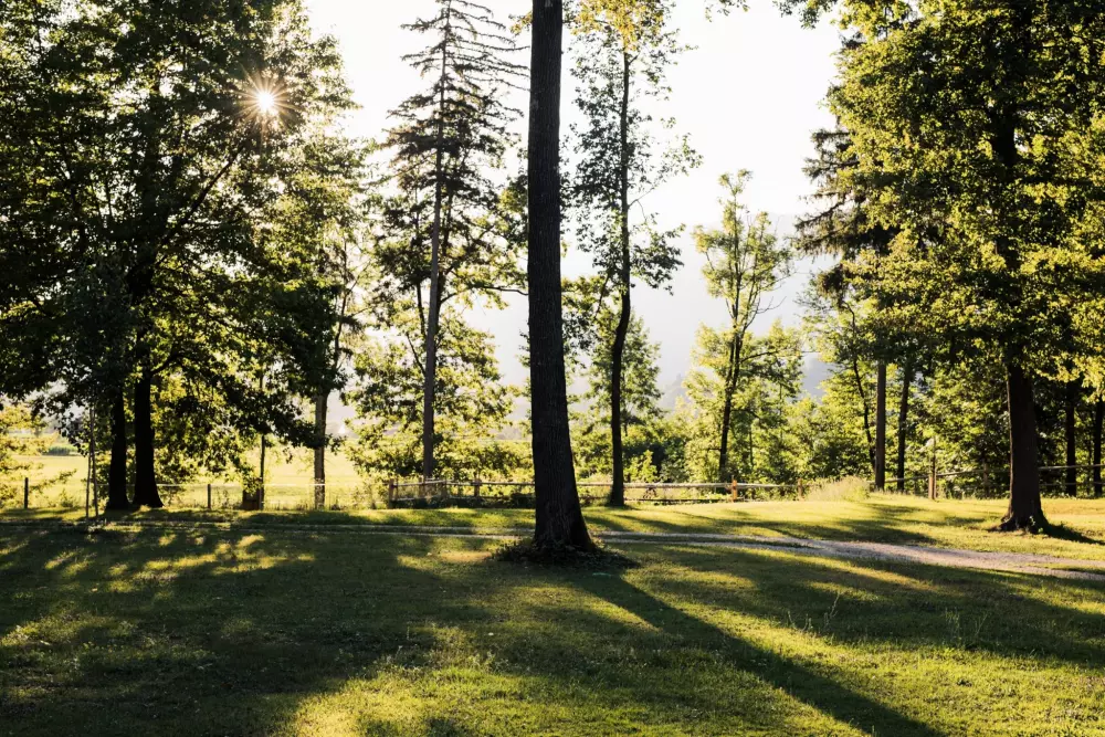 Forest Camping Mozirje 3 Stelle★★★