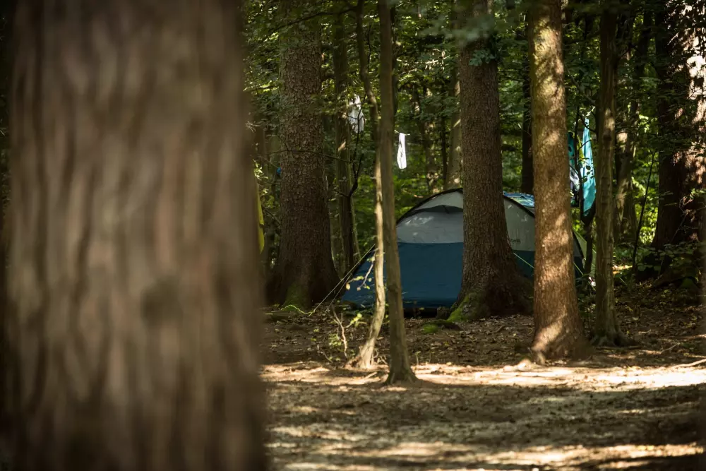 Forest Camping Mozirje 3 Stelle★★★