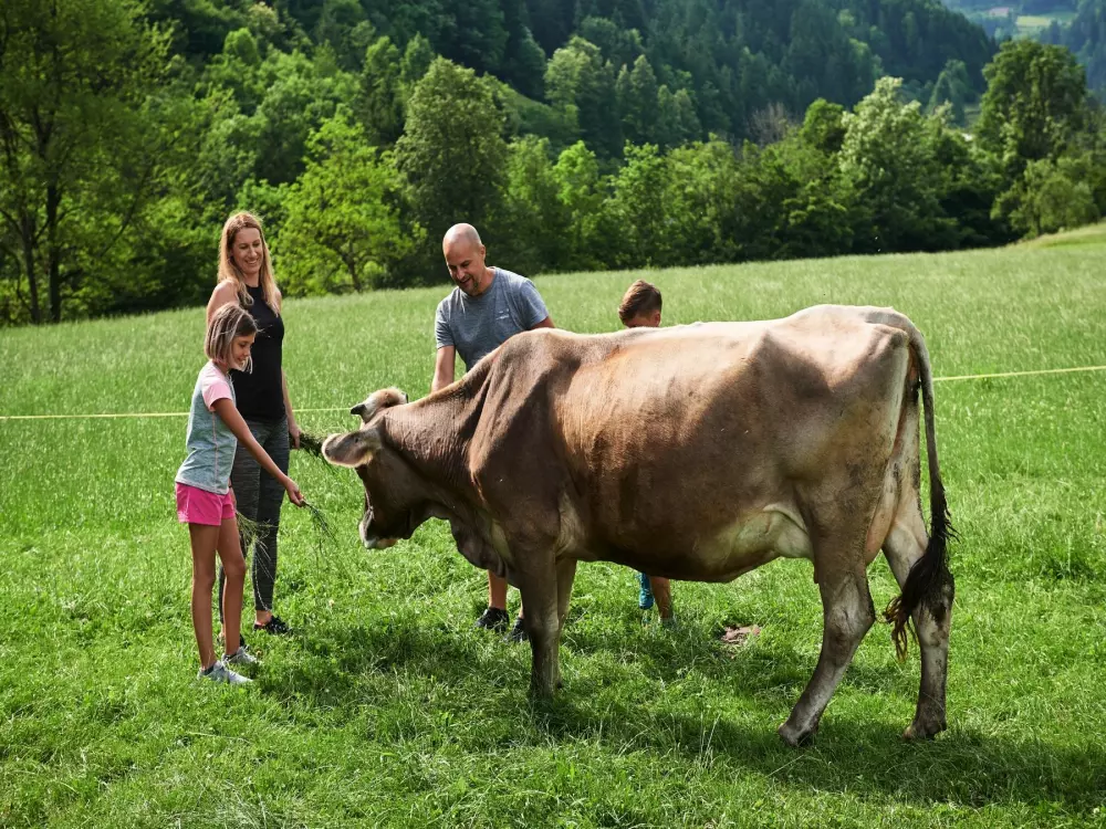 Forest Camping Mozirje 3 Stelle★★★