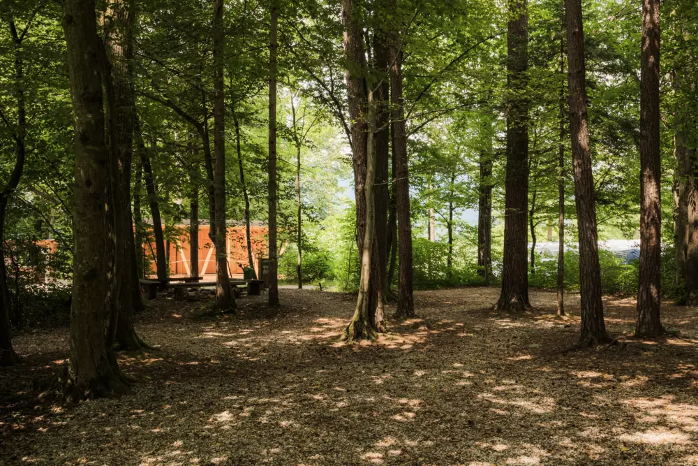 Forest Camping Mozirje 3 Stelle★★★
