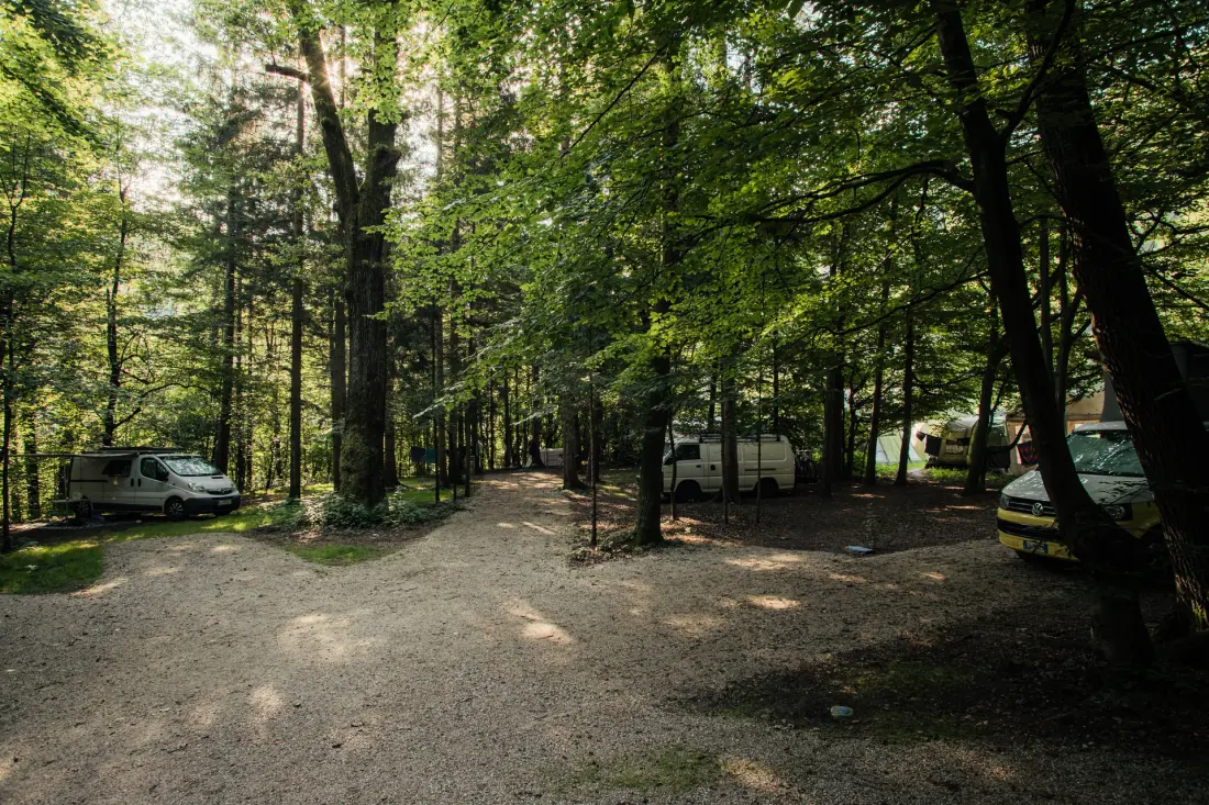 Forest Camping Mozirje 3 Gwiazdy★★★