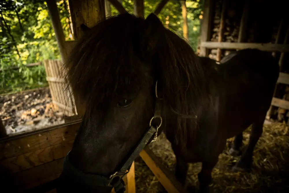 Forest Camping Mozirje 3 Stelle★★★