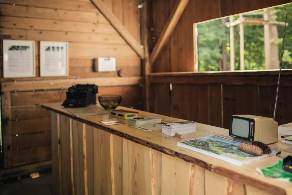 Forest Camping Mozirje 3 Stelle★★★