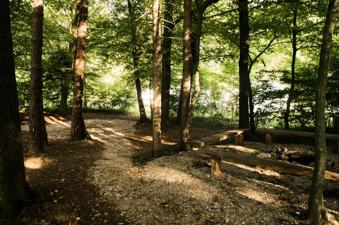 Forest Camping Mozirje 3 Gwiazdy★★★