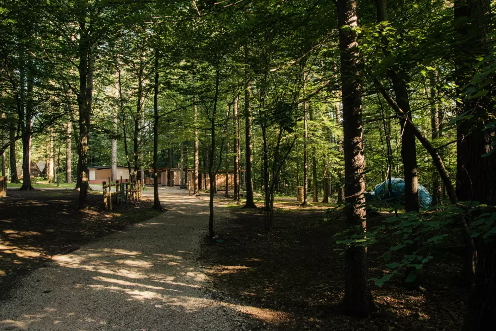 Forest Camping Mozirje 3 Stelle★★★