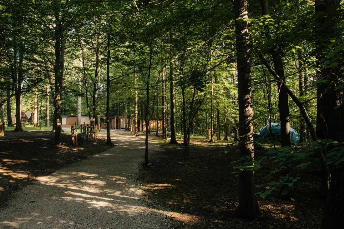 Forest Camping Mozirje 3 Gwiazdy★★★