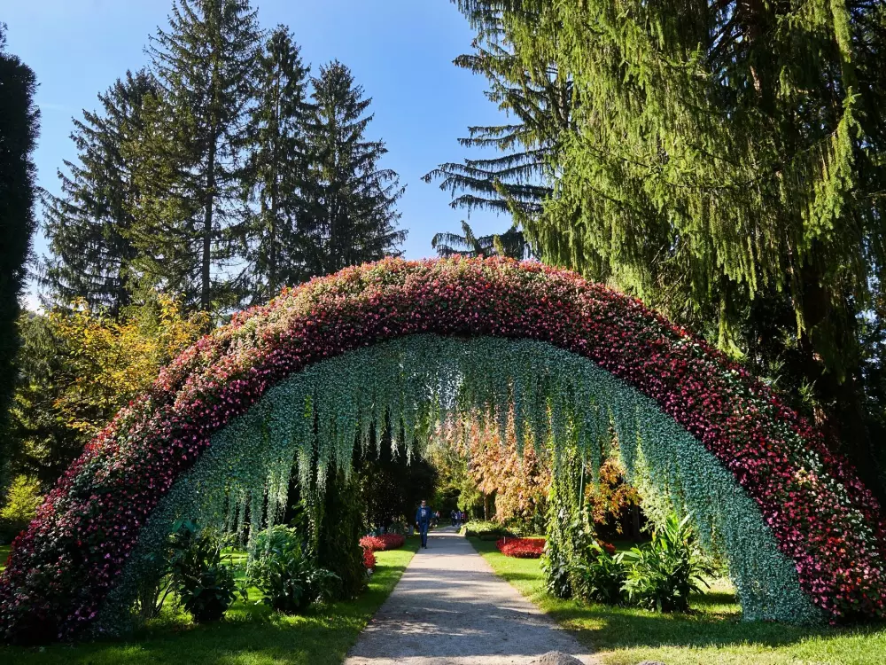 Forest Camping Mozirje 3 Stelle★★★