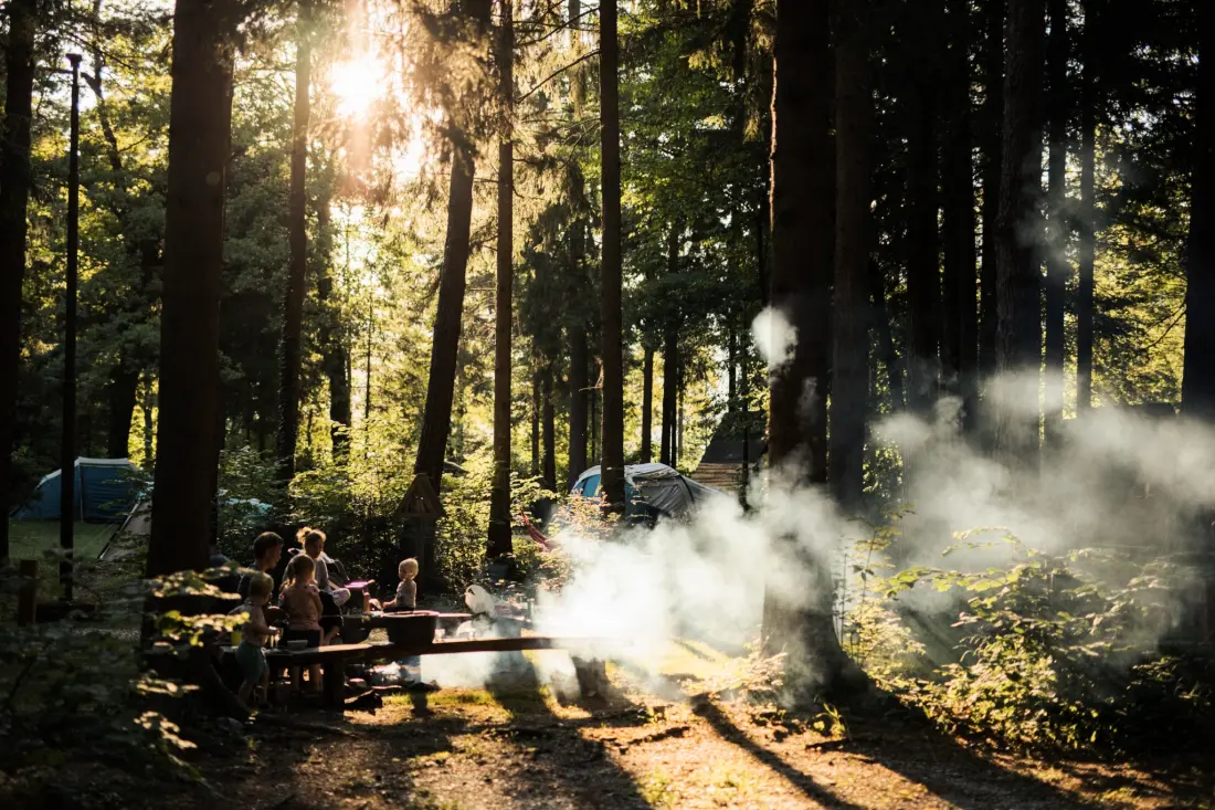 Forest Camping Mozirje 3 Gwiazdy★★★