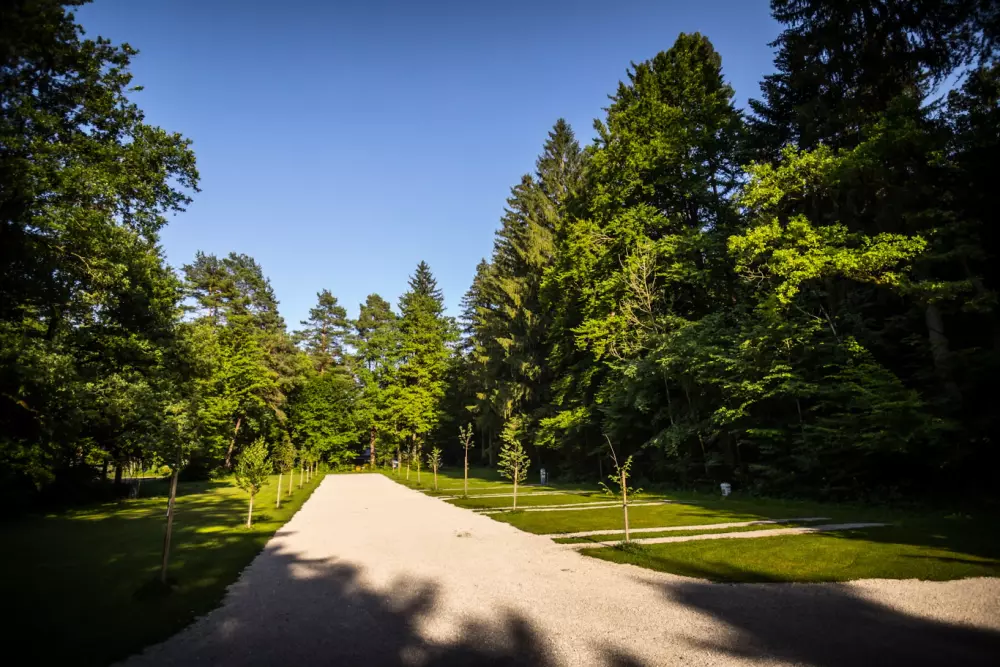 Forest Camping Mozirje 3 Stelle★★★