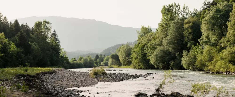 Forest Camping Mozirje 3 Stelle★★★