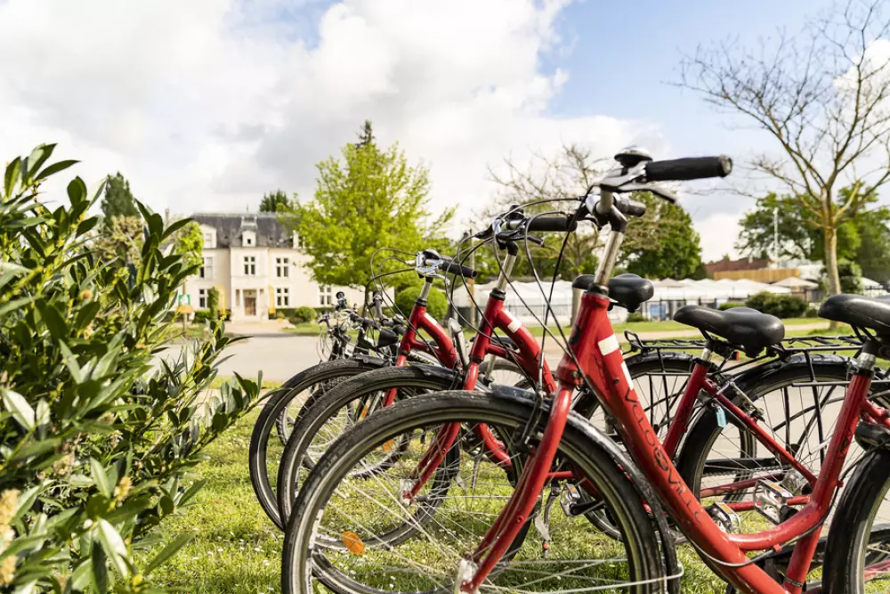 Kemping Sandaya Château des Marais 5 Gwiazdy★★★★★