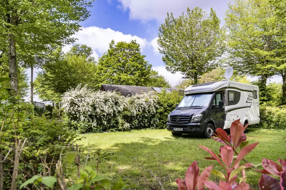 Kemping Sandaya Château des Marais 5 Gwiazdy★★★★★