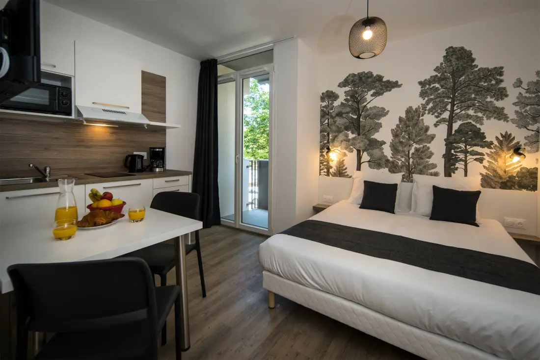 Aparthotel Lagrange Mulhouse Saint Sauveur 3 Sterren★★★