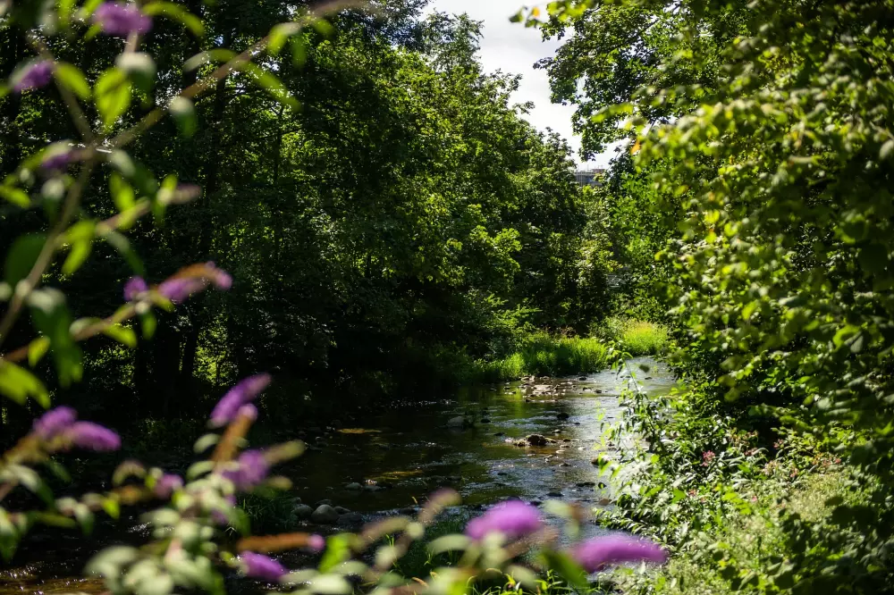 Campingpladser i Le Parc de la Fecht