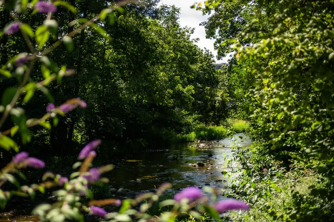 Camping Le Parc de la Fecht