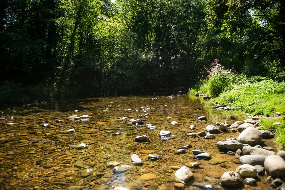 Campingpladser i Le Parc de la Fecht