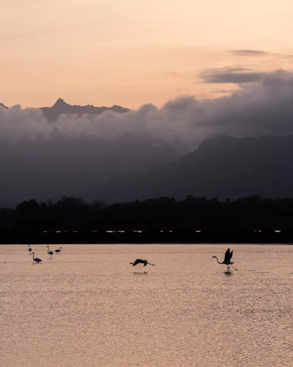 4 Mori Family Village 4 Sterne★★★★