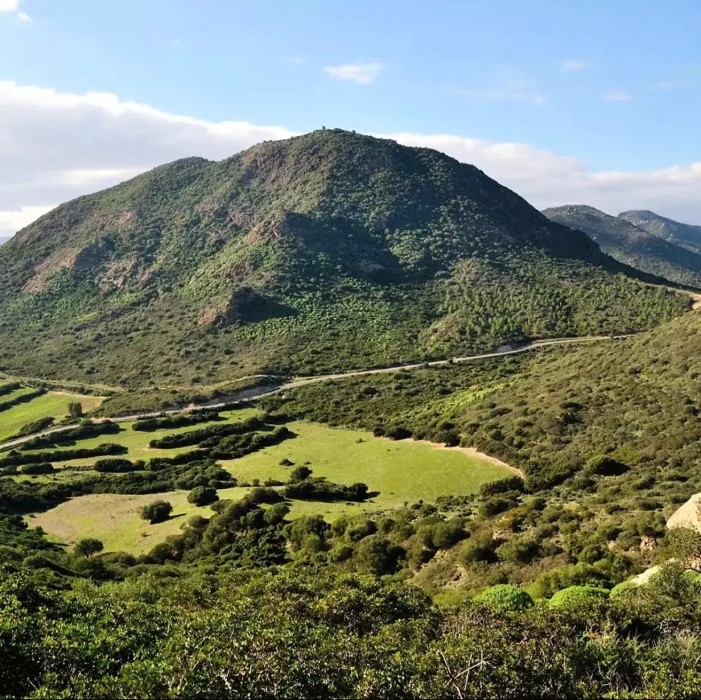 4 Mori Family Village 4 Sterne★★★★