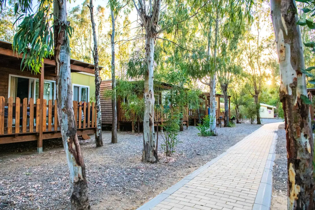 4 Mori Family Village 4 Stelle★★★★