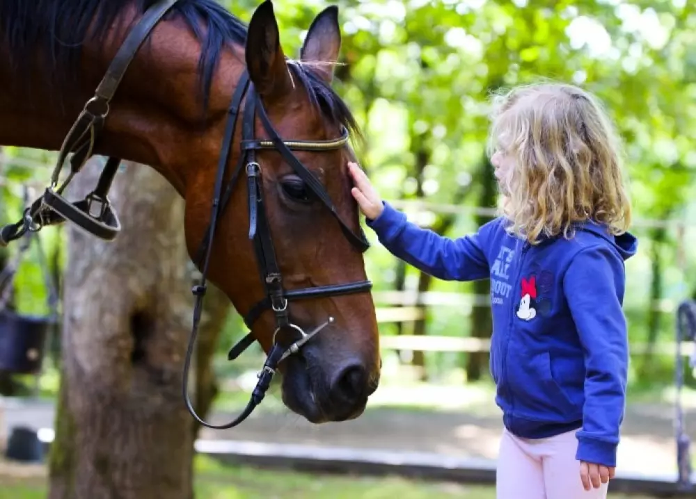 VVF Najac 3 Stars★★★