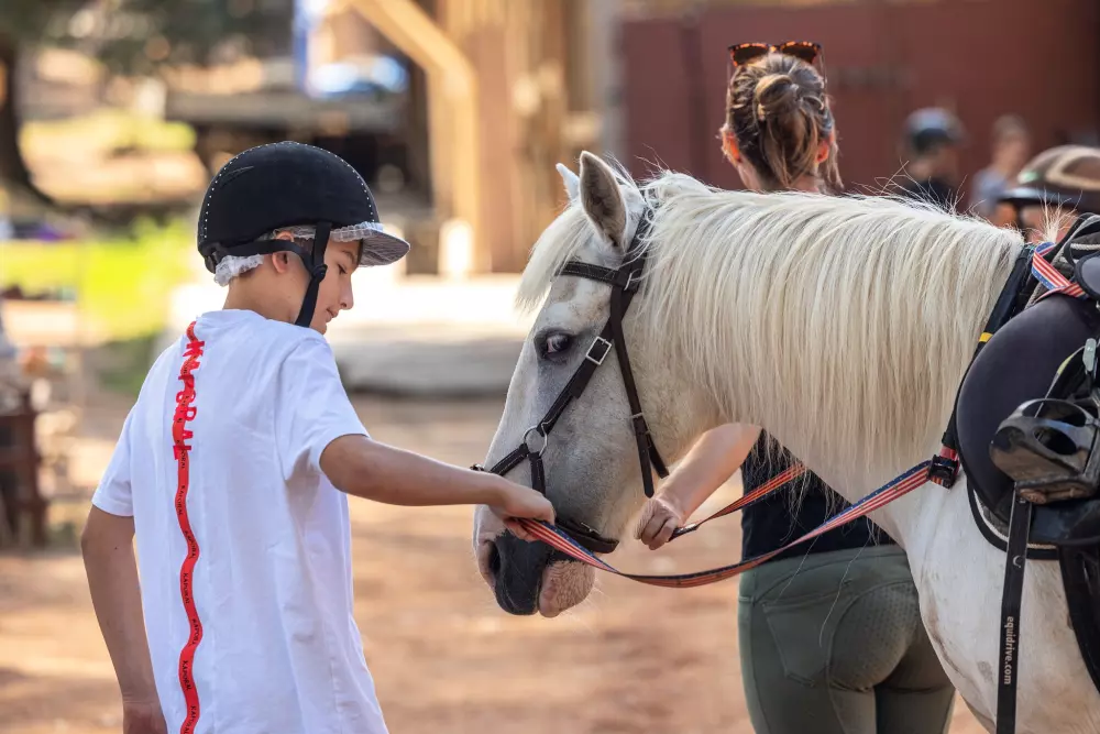 Camping Domaine de la Sainte Baume4 Sterren★★★★