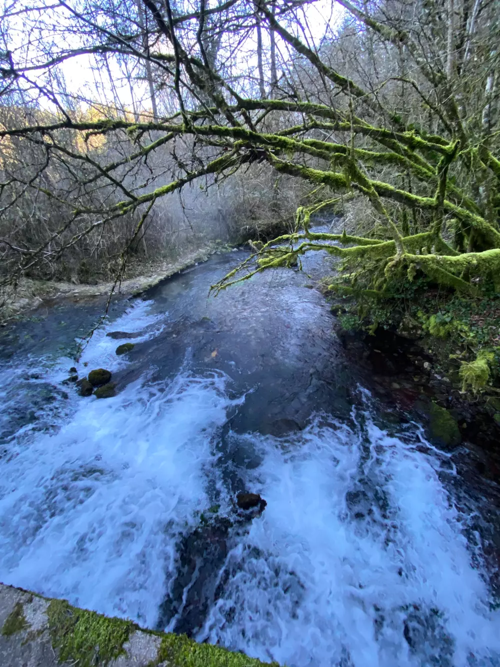 Kemping Des Deux Séquoias 1 Csillagok★