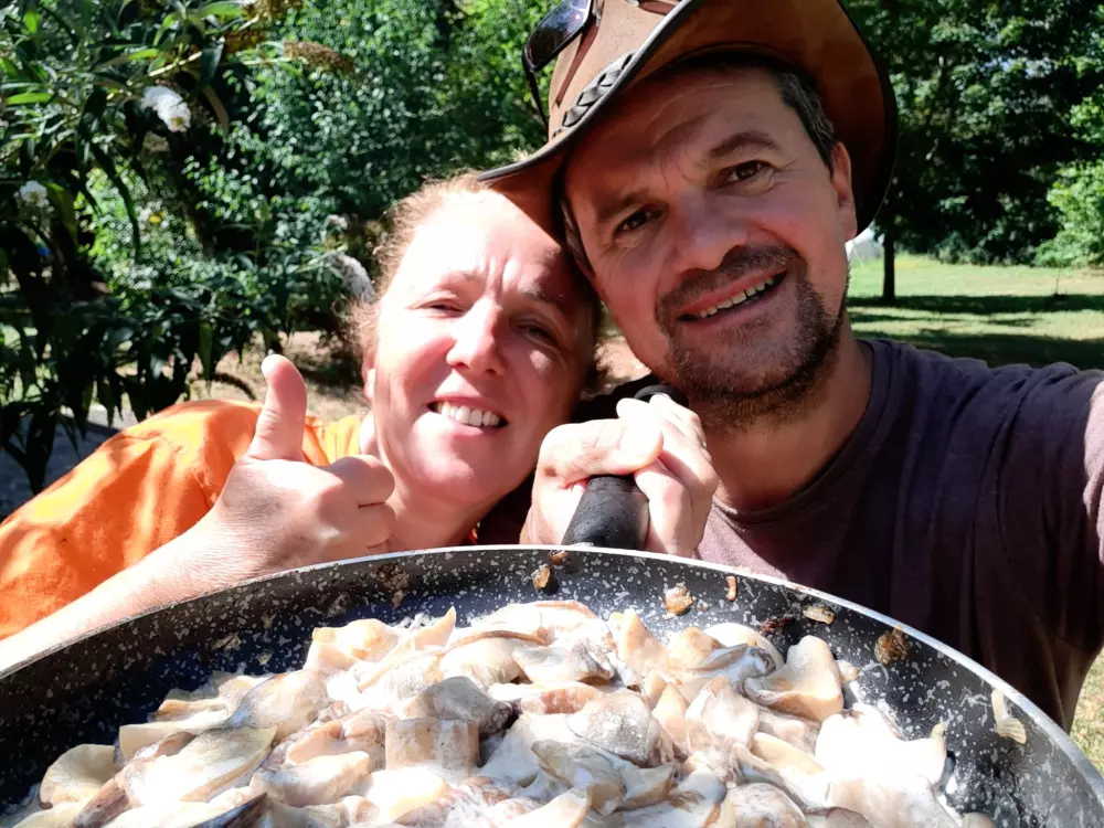 Kemping Des Deux Séquoias 1 Csillagok★