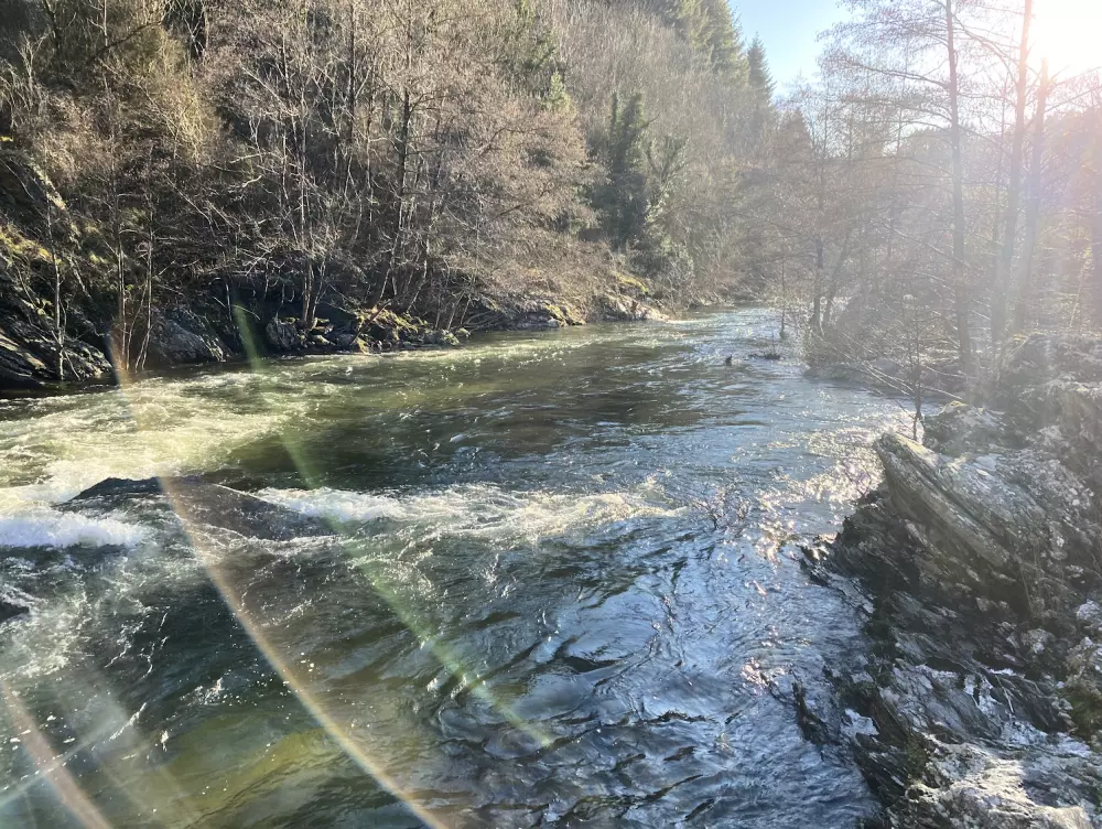 Kemping Des Deux Séquoias 1 Csillagok★