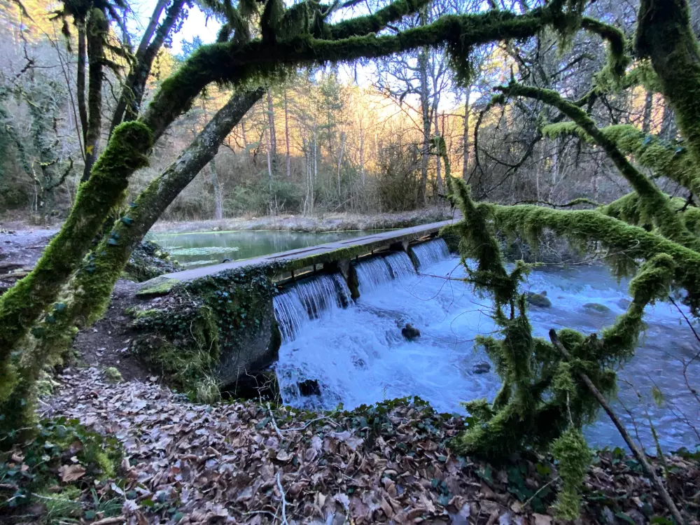 Kemping Des Deux Séquoias 1 Csillagok★