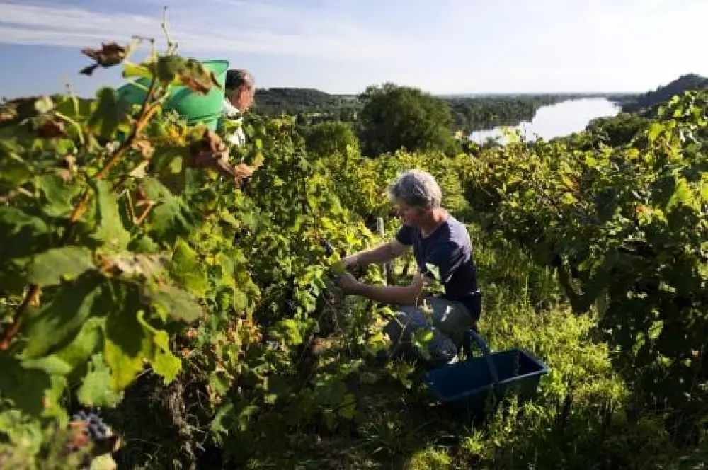 NANTS CAMPING 2 Csillagok★★