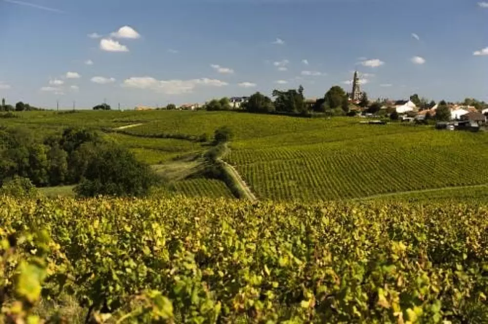 NANTS CAMPING 2 Csillagok★★