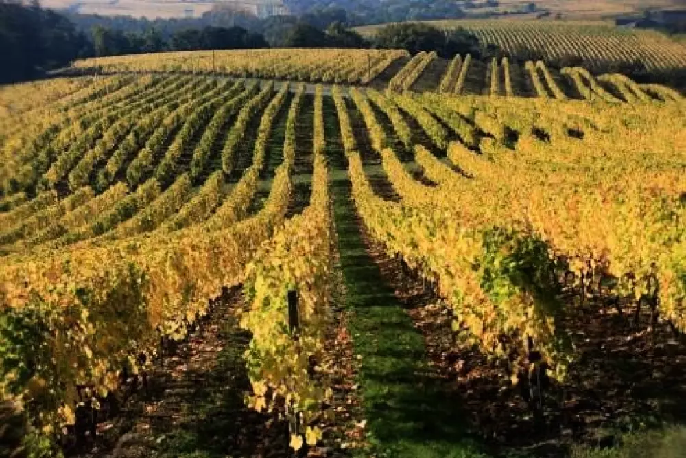 NANTS CAMPING 2 Csillagok★★