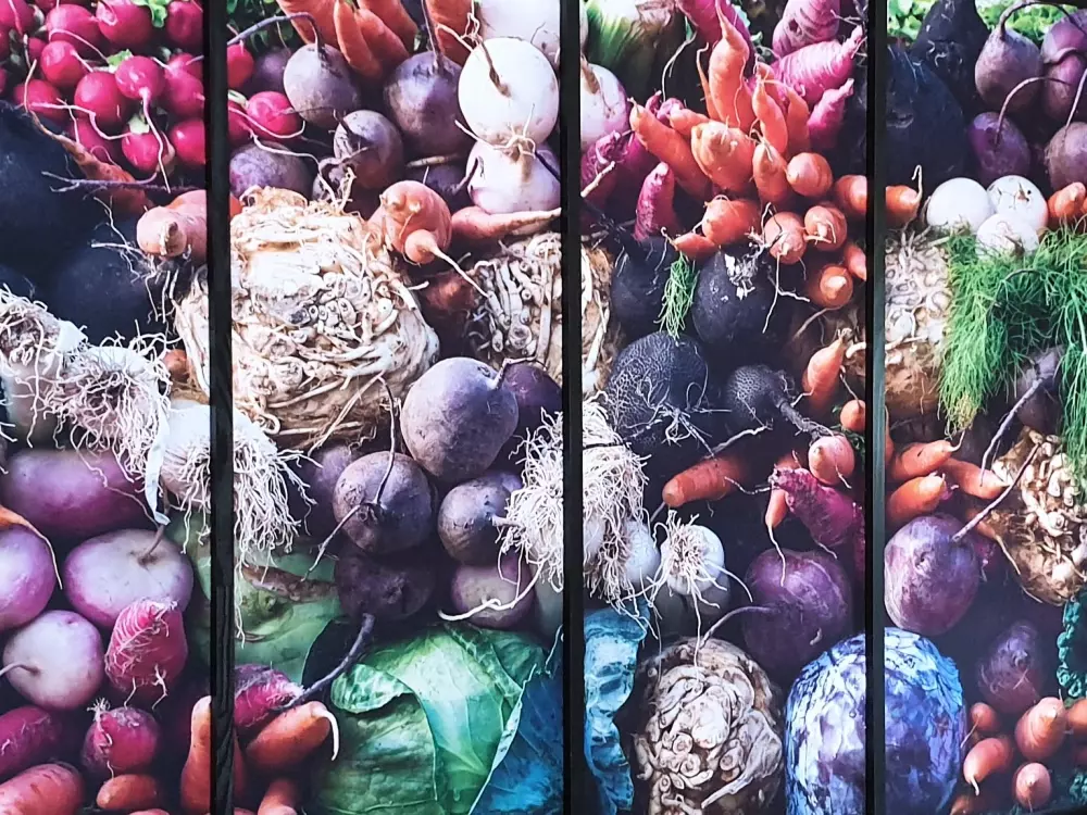 NANTS CAMPING 2 Csillagok★★