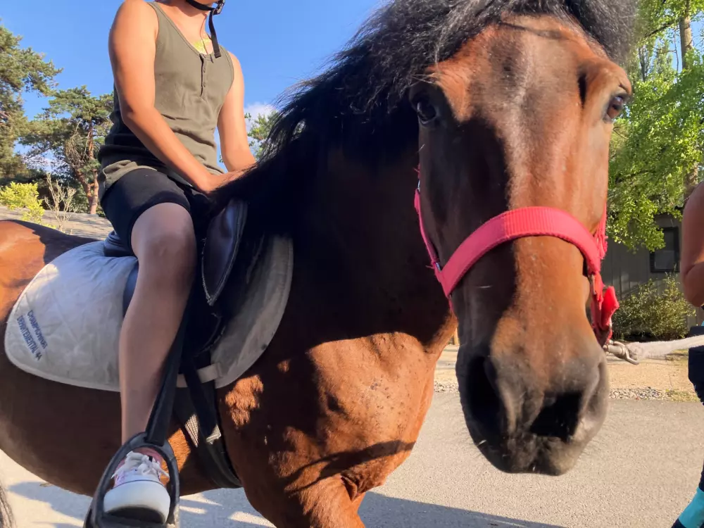 NANTS CAMPING 2 Csillagok★★