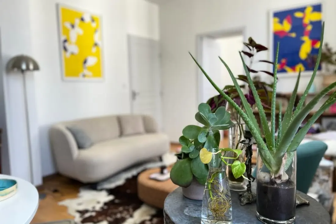 Charming Luminous Apartman