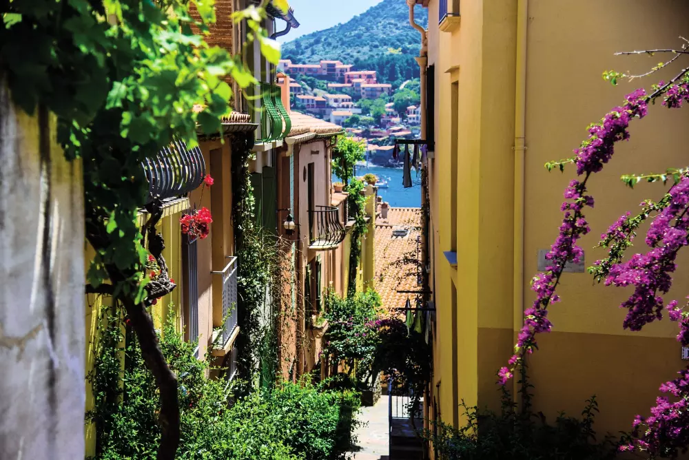 Camping Falaise-Narbonne-Plage4 Sterren★★★★