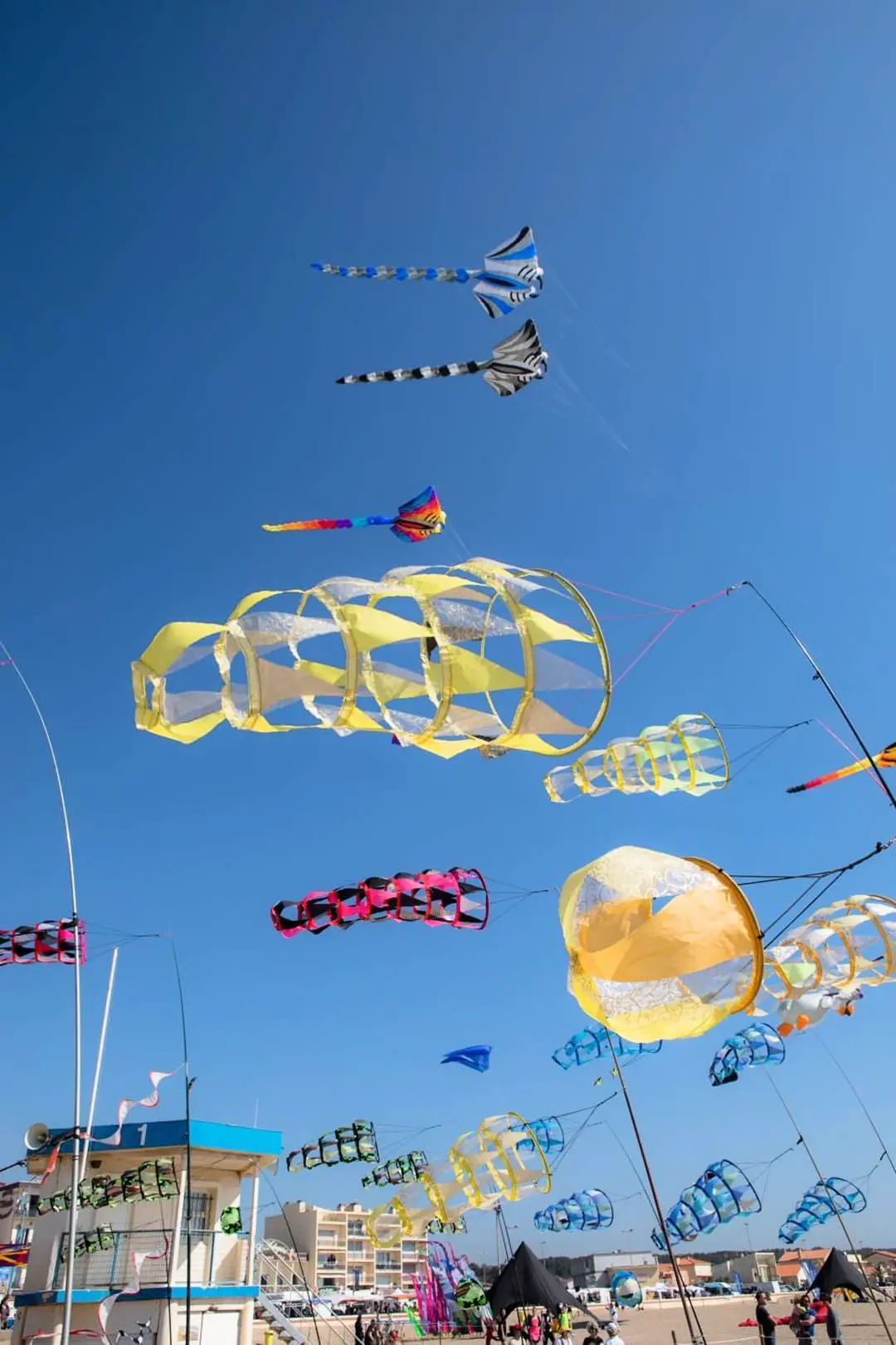 Residence Las Palmas 2