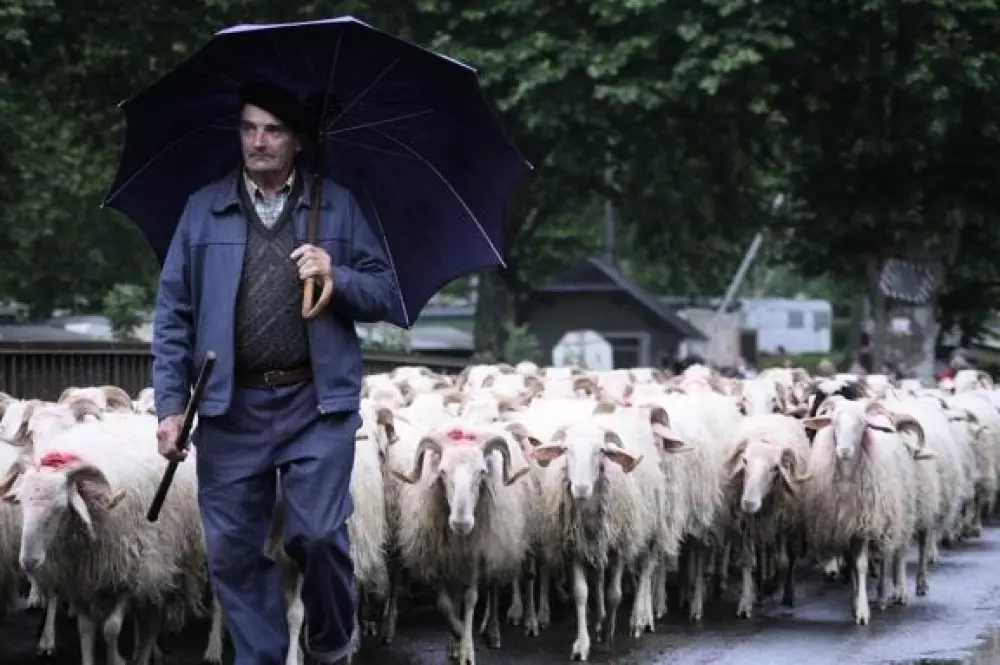 Kemping Beau Rivage 3 Gwiazdy★★★