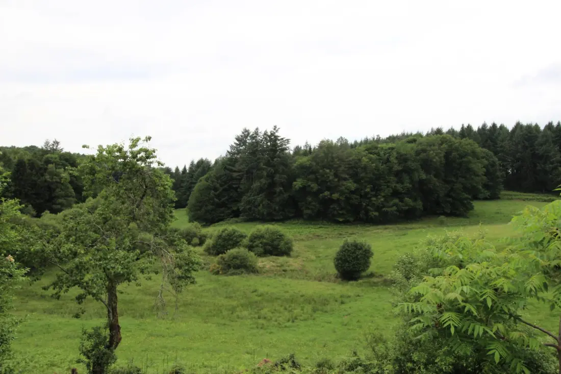 Gîte de France Chalendeix 3 oren