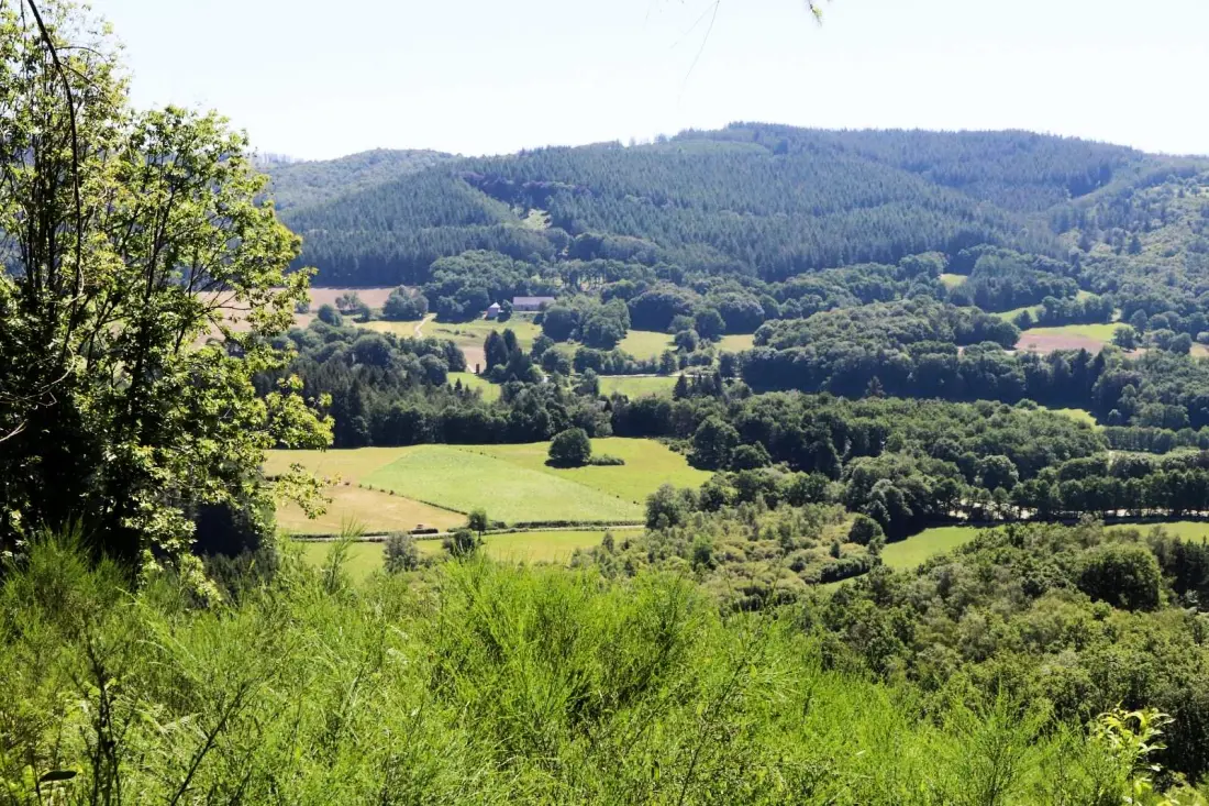 Gîte de France Mazeau nicot 3 oren