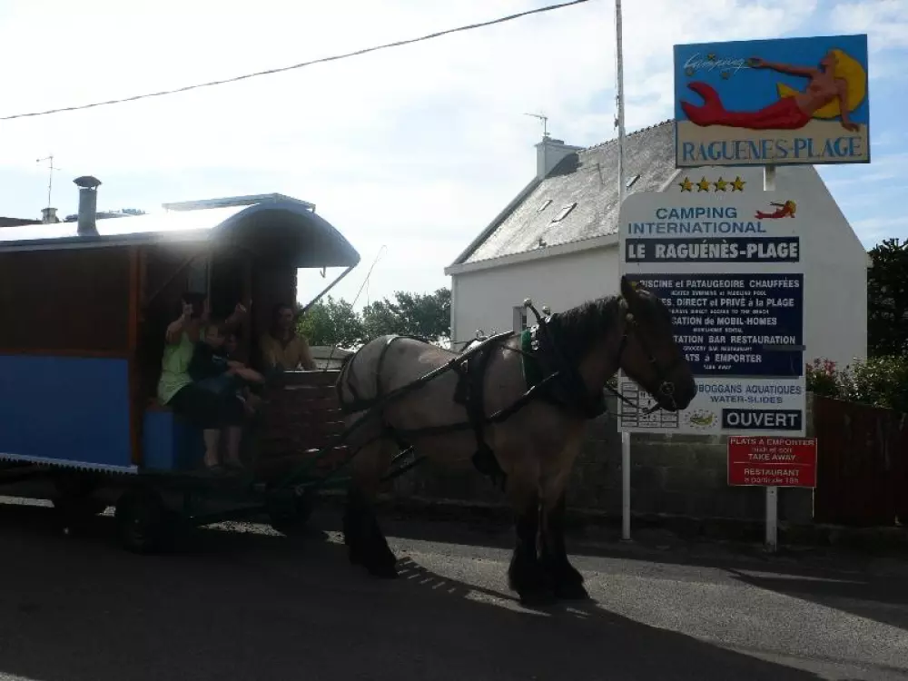 Campsite Le Raguenès Beach4 Stars★★★★