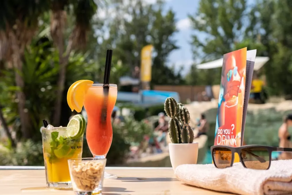 Camping Sandaya Port Manec'h4 étoiles★★★★