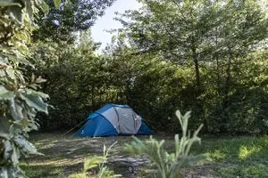 Camping Sandaya Port Manec'h4 étoiles★★★★