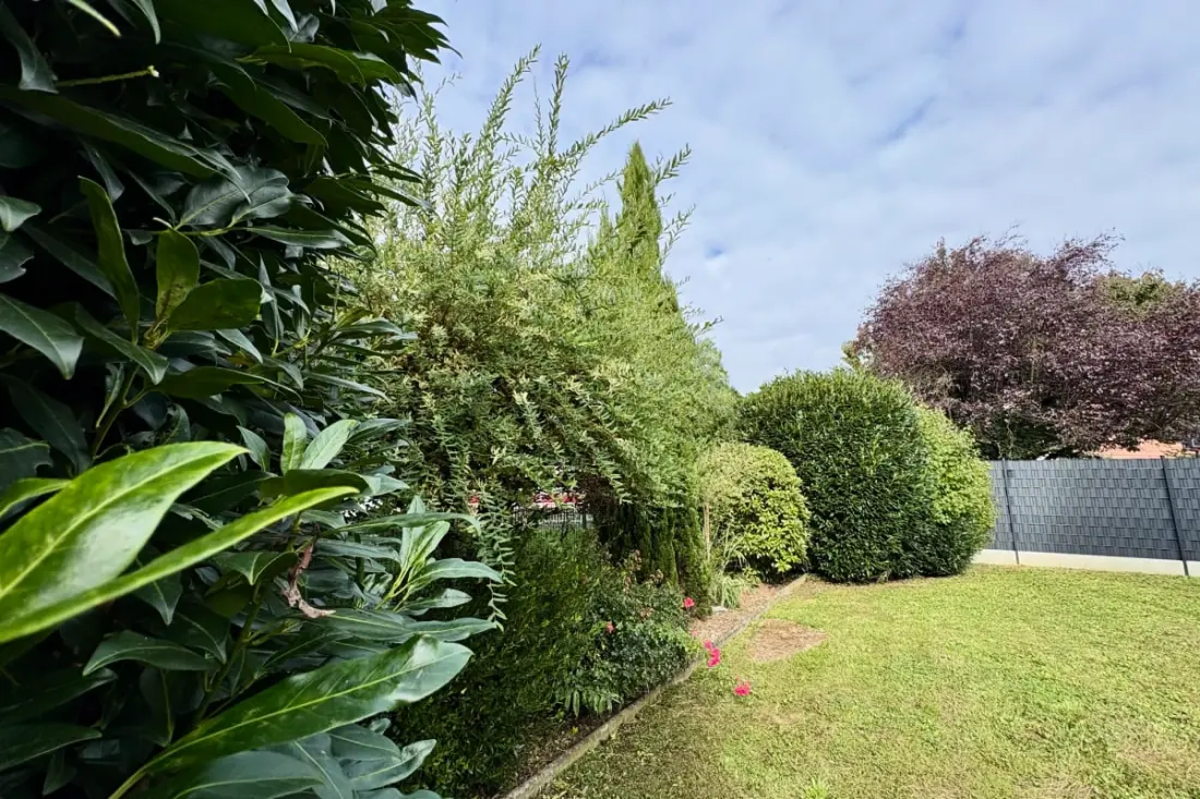A Hops, Charm és Comfort In Alsace
