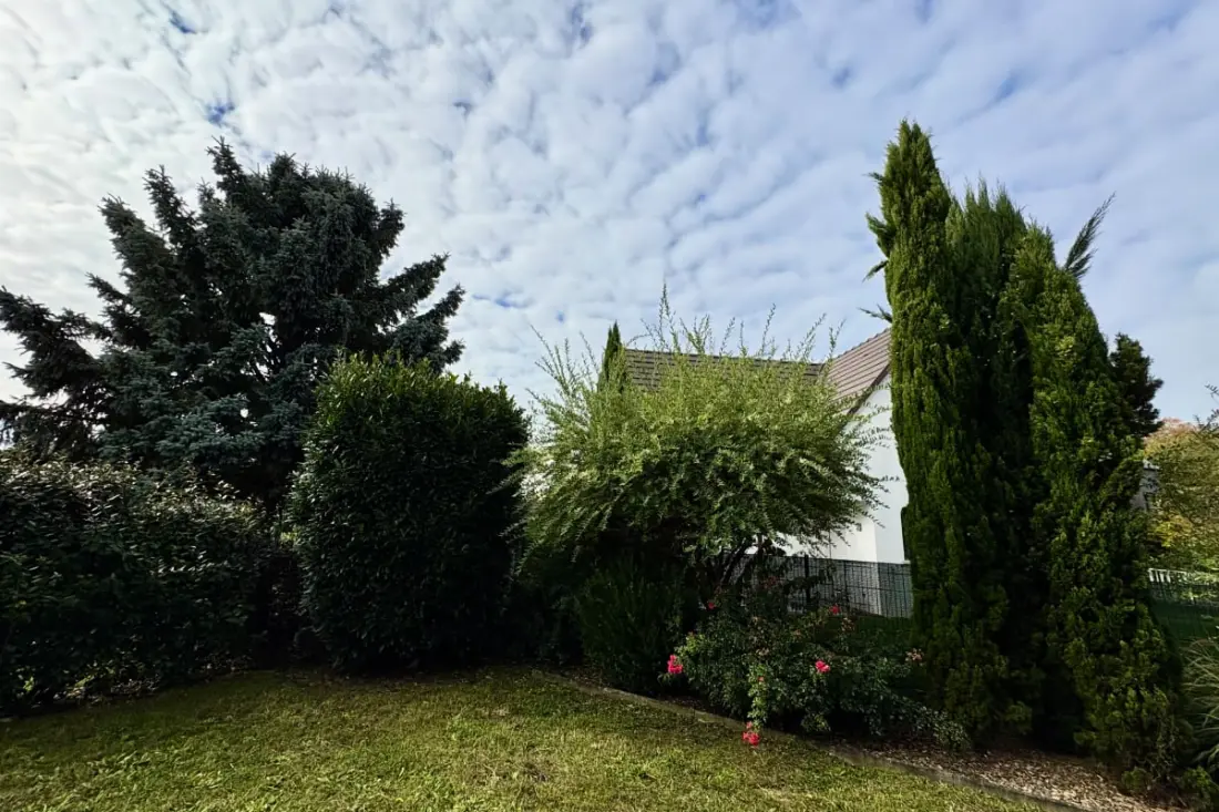 A Hops, Charm és Comfort In Alsace