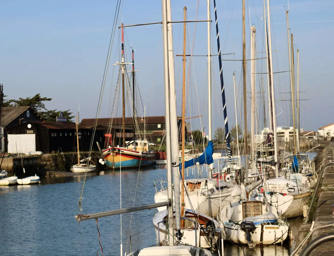Residence No000-a10-noirmoutier En L Ile