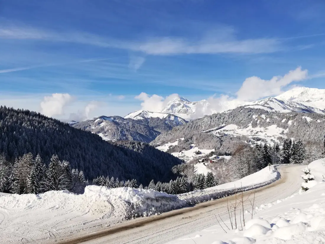 Chalet Gall