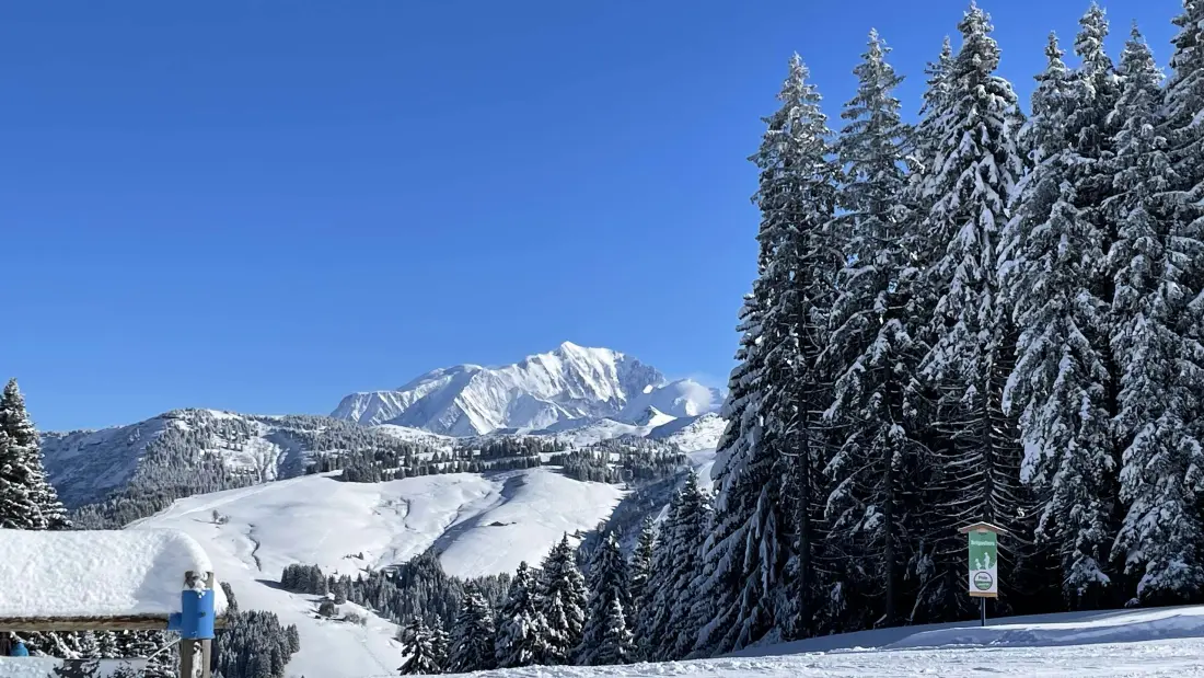 Chalet Gall