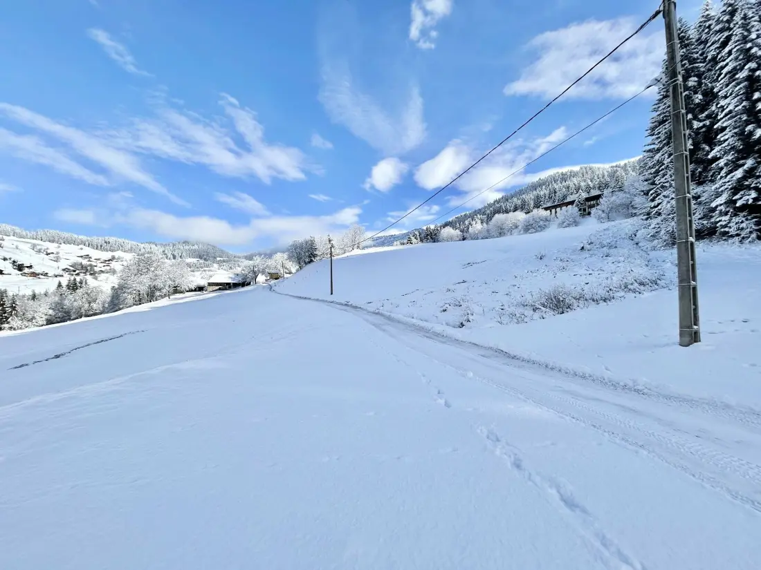 Chalet Varni