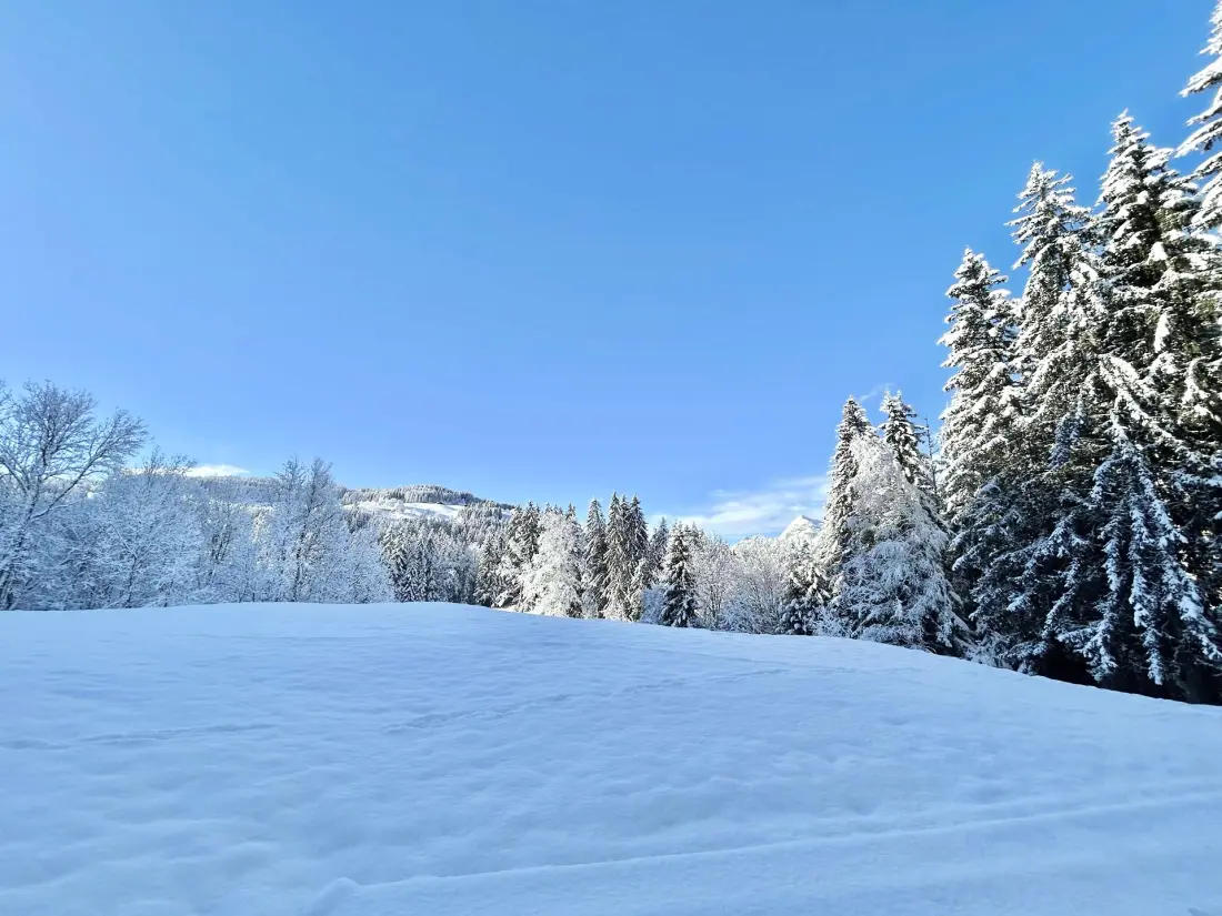 Chalet Varni